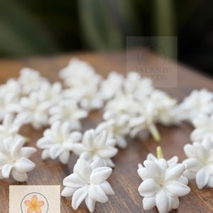 Flores de arcilla de jazmín pikake blanco para la elaboración de joyas / Cuentas de arcilla tailandesa hechas a mano por Island Clay Co. / Suministros para manualidades hawaianas