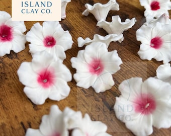 Könnte beinhalten: Weiße Tonblumen mit rosa Zentren liegen auf einer Holzoberfläche. Die Blüten haben ein zartes, geschichtetes Blütenblattdesign. Das Logo von Island Clay Co. ist oben links sichtbar.