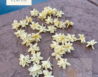 May include: A collection of small, pale yellow, star-shaped flower embellishments scattered across a textured surface. Each piece features five pointed petals arranged in a radial pattern. The image includes the text Island Clay Co.