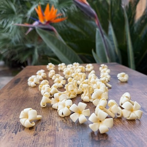 Cream Puakenikeni Flowers | Hawaiian Clay Beads for Jewelry Making, Leis, Tropical Decor & Crafts