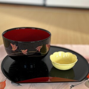 漆塗りどんぶりセット - 5種類のユニークなバリエーション | 未使用