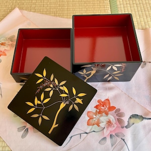 Op de afbeelding: Twee zwarte vierkante dozen met rode interieurs en deksels. De deksels zijn versierd met gouden en bruine bladeren. De dozen zijn open en onthullen hun interieurs. De dozen staan op een stof met bloemenpatroon.