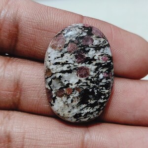 以下が含まれることがあります： 白、黒、マルーンの斑点模様の楕円形の宝石。石は研磨された表面を持ち、手で持たれています。マルーンの斑点は石全体に散らばっています。