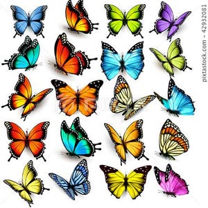 Beautiful Digital Butterfly, to use for any logo or decor