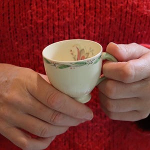 May include: A small, cream-coloured teacup with a delicate floral design and a green handle. The cup is held in two hands, against a red sweater background. The cup's rim features a green and pink floral pattern.
