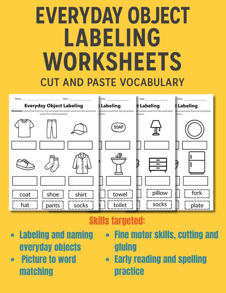 Object Labeling Task Everyday Object Labeling Worksheets for Prek–2 - Etsy