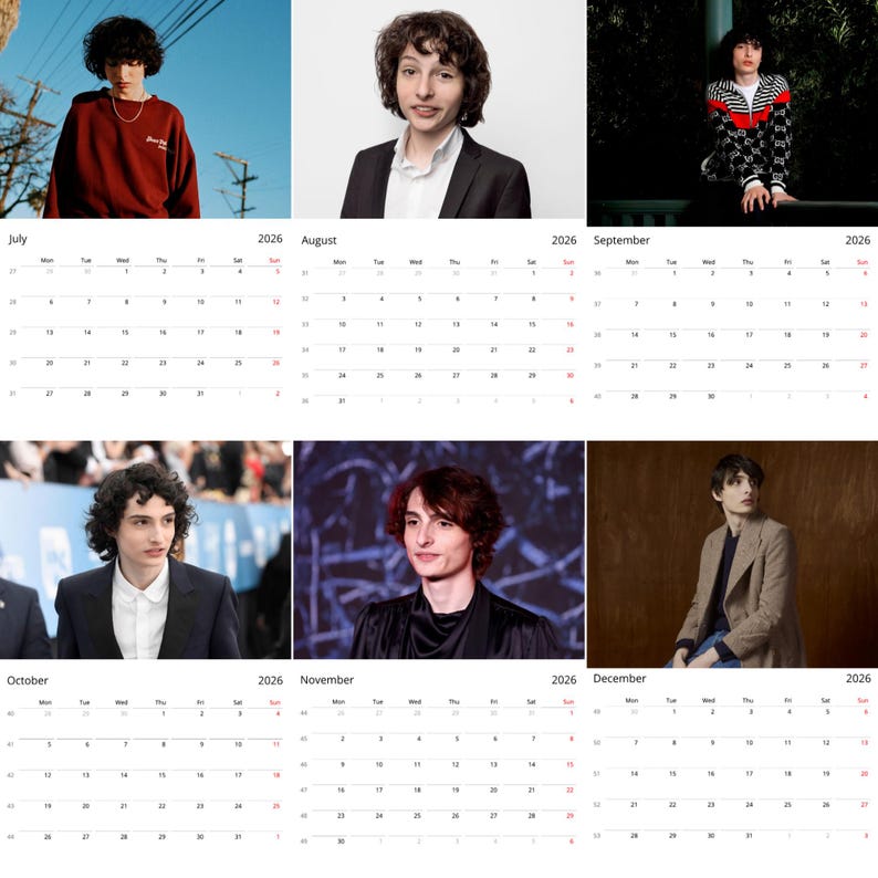 Finn Wolfhard 2026 Wall Calendar Exclusive Celebrity Poster Calendar Il Hts6 