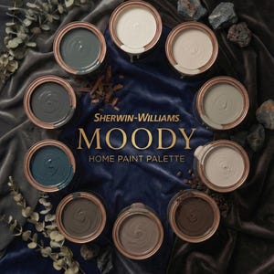Palette de peinture Moody Sherwin-Williams - Couleurs intérieures neutres profondes (téléchargement numérique)