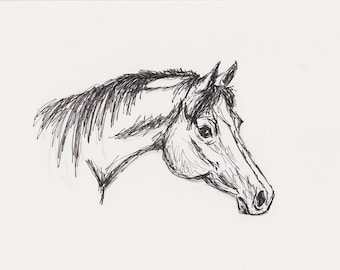 Pen and Ink Horse Drawing, Equine Art, Arabian Horse Sketch, Original 5x7