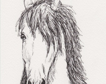 Horse Head Sketch, 5x7 Original Pen and Ink Equine Art, Horse Drawing