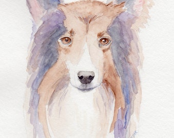 Collie Dog 8x10 Fine Art Original Watercolor Painting, Animal Art, Sheltie, Canine Portrait