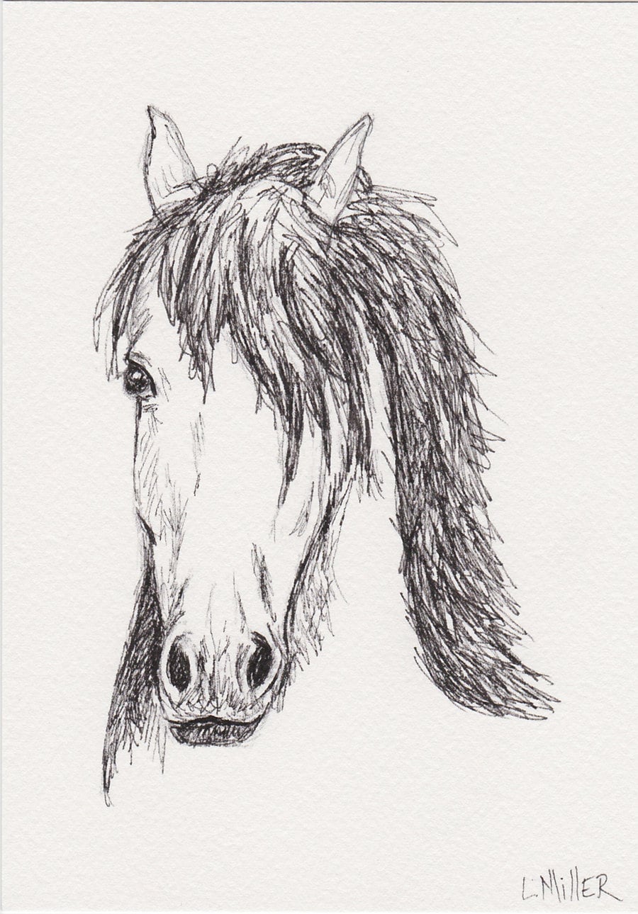 spirited horse running horse print artwork of a horse running print from the original pen /& ink wild horses Mustang Sally Horses