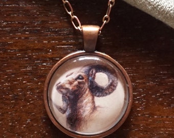 Ilustración Ram 1 pulgada de vidrio y metal colgante collar (Mouflon)