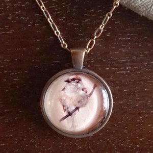 Bird Illustration 1-inch Glass and Metal Pendant Necklace (Gray Jay)