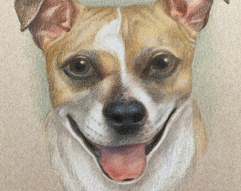 Retrato de mascota: 20,3 x 25,4 cm (8 x 10 pulg.) Lápiz de color sobre papel marrón