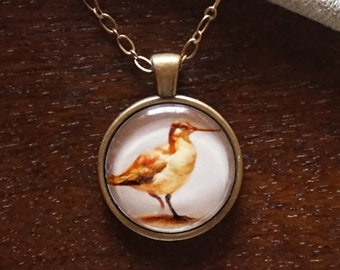 Ilustración de aves de vidrio de 1 pulgada y collar colgante de metal (Phalarope)