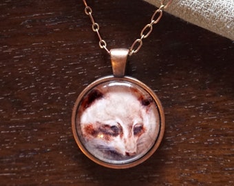 Raccoon Ilustración 1 pulgadas de vidrio y metal colgante collar