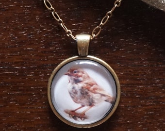 Ilustración de aves de 1 pulgada de vidrio y metal colgante collar (sage Sparrow)