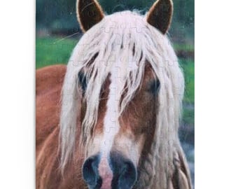 Rompecabezas de cara de caballo de Hefflinger / Rompecabezas