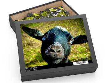 Rompecabezas de cabra de ojos azules / Rompecabezas de animales (120-500 piezas)