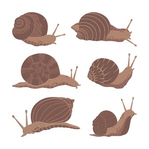 Puede incluir: Seis ilustraciones de caracoles marrones con patrones detallados de conchas y antenas. Los caracoles se representan en varias poses, mostrando sus cuerpos y conchas texturizadas sobre un fondo blanco. La obra de arte tiene una apariencia texturizada, casi bordada.
