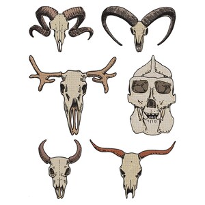 May include: A collection of animal skull illustrations, including a ram, goat, moose, and bull. The skulls are in a beige color with brown and black details, set against a white background. The artwork has a vintage, hand-drawn style.