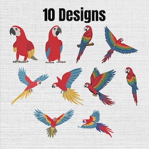 Puede incluir: Una colección de 10 Designs con ilustraciones estilo bordado de guacamayos en varias posturas. Los loros muestran un plumaje vibrante en rojo, azul, amarillo y verde, representados tanto posados como en vuelo sobre un fondo gris claro texturizado.