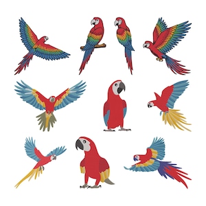 May include: A collection of colorful parrot illustrations in various poses. The parrots feature vibrant red, blue, yellow, and green plumage. Some are perched, while others are in flight, showcasing their wings. The artwork has a cartoon-like style.