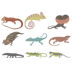 May include: A collection of nine colorful lizard illustrations. The lizards vary in color, including red, green, blue, and brown. Some have unique patterns and features, such as a frill or a curled tail. The illustrations are set against a white background.
