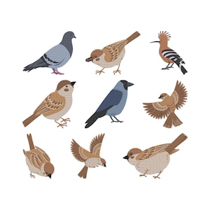 Puede incluir: Ilustración de nueve pájaros sobre un fondo blanco. Se incluyen una paloma, gorriones, una abubilla y un cuervo. Las aves están representadas en varias poses, algunas con las alas extendidas, en colores suaves y naturales.