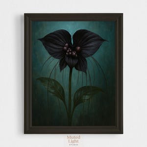 Puede incluir: Impresión artística enmarcada que representa una flor negra estilizada con grandes pétalos y finos zarcillos sobre un fondo turquesa. La obra de arte se presenta en un marco marrón oscuro. El texto "Muted Light Studio" es visible en la esquina inferior derecha.