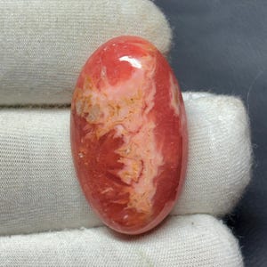 以下が含まれることがあります： 磨かれた表面を持つ楕円形の宝石。石は赤、ピンク、クリーム色の混合色で、渦巻きと静脈の独特のパターンが特徴です。宝石は手袋をはめた手で持たれています。