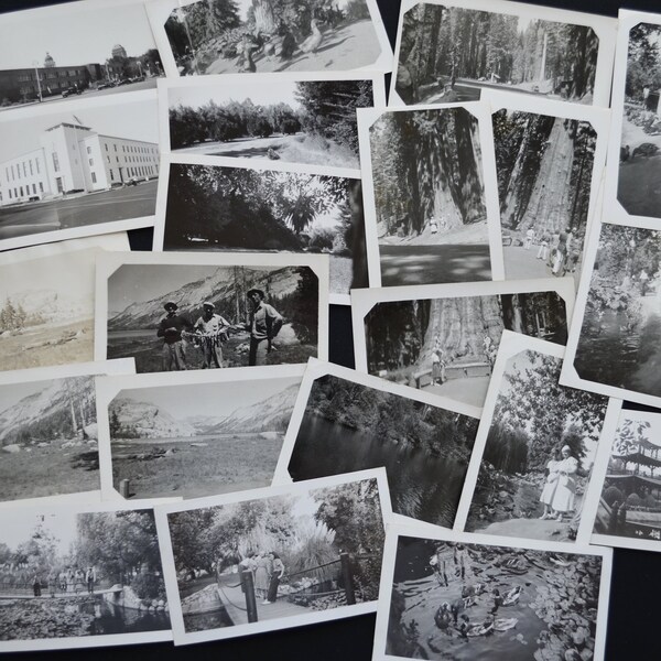 Lot of 48 Vintage 1930's Fresno County California Outdoor Parks - Lake - Destination Scenery Photographs - Original Black & White Snapshots