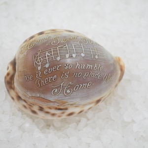 May include: A brown and tan cowrie shell engraved with musical notes and the text: Home Sweet Home, Be it ever so humble, There is no place like Home. The shell features a smooth, polished surface with dark brown spots along the bottom edge.