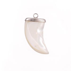 May include: A pearlescent, claw-shaped pendant with a silver-colored cap and a small loop for a chain. The pendant has a smooth, polished surface and a curved shape, ideal for jewelry.