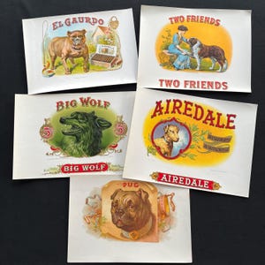 May include: A collection of vintage cigar box labels featuring dog illustrations. The labels showcase various breeds, including a bulldog, wolf, Airedale, and pug, with text such as "El Gaurdo", "Big Wolf", and "Airedale". The labels have a classic, antique aesthetic.