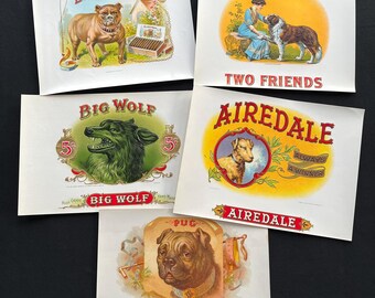 Lot of 5 Vintage c1900s Cigar Labels - Inner Cigar Box Labels with Dog Graphics - Pug, Airedale, Big Wolf