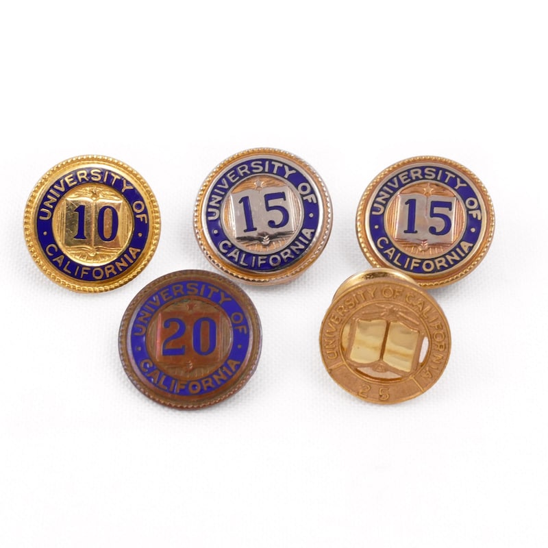 2 Years Pin Years of Service Custom Pin - Etsy