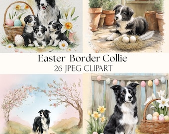 Border Collie Easter - 27 Watercolor Digital Illustration JPEG Bundle, Junk Journal Pages, Art Print, Dog Lover Gift, Commercial Use