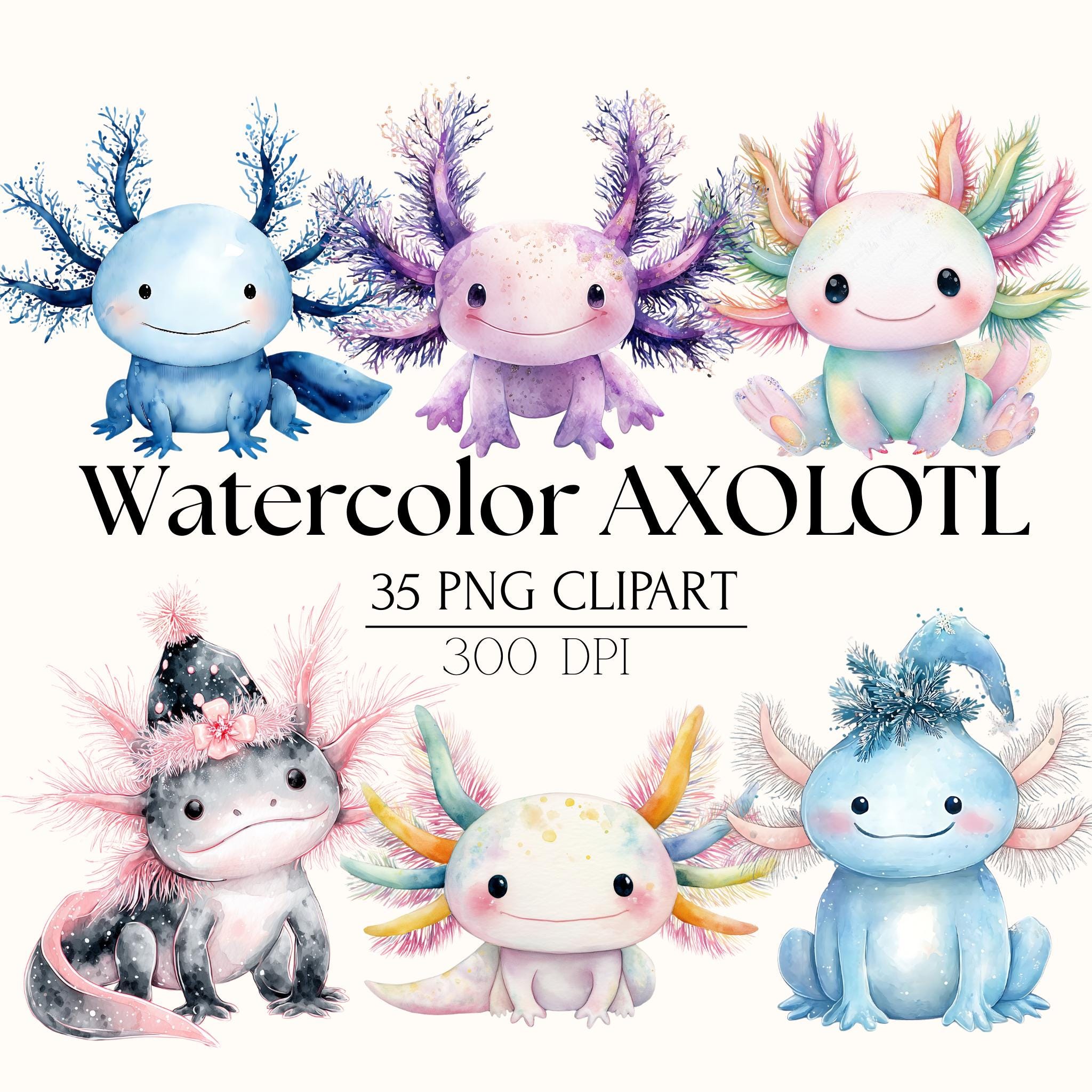 Axolotl PNG Clipart Set | Cute Pastel Kawaii Axolotl, Winter ...