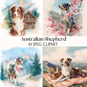 Peut inclure: Clipart aquarelle présentant quatre images de bergers australiens dans divers environnements extérieurs. Les images incluent des chiens près d'un chalet, avec des fleurs de cerisier, en randonnée et sur une couverture de pique-nique. Le texte indique "Australian Shepherd 43 JPEG CLIPART."