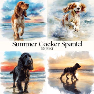 Könnte beinhalten: Digitaldruck mit vier Cocker Spaniel-Hunden an einem Strand bei Sonnenuntergang. Das Bild enthält den Text "Summer Cocker Spaniel" und "36 JPEG". Die Hunde sind in verschiedenen Posen dargestellt, mit den Farben Braun, Schwarz und Weiß.
