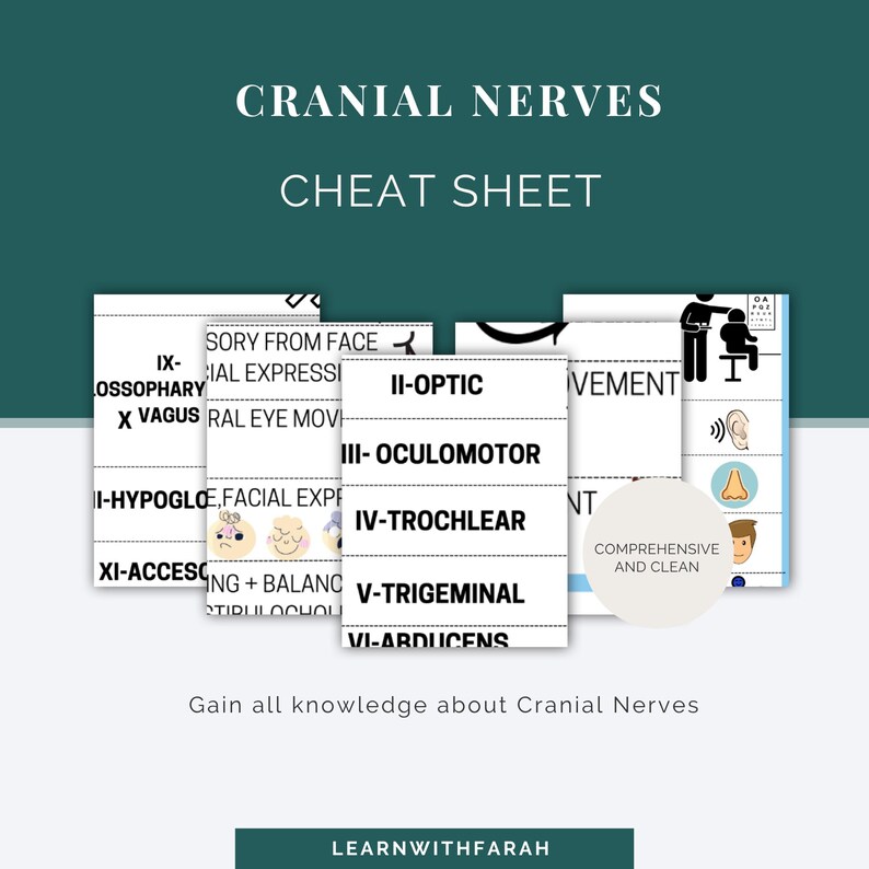 Cranial Nerves Cheat Sheet | Lesson | Instant PDF Printable Guide | Med ...