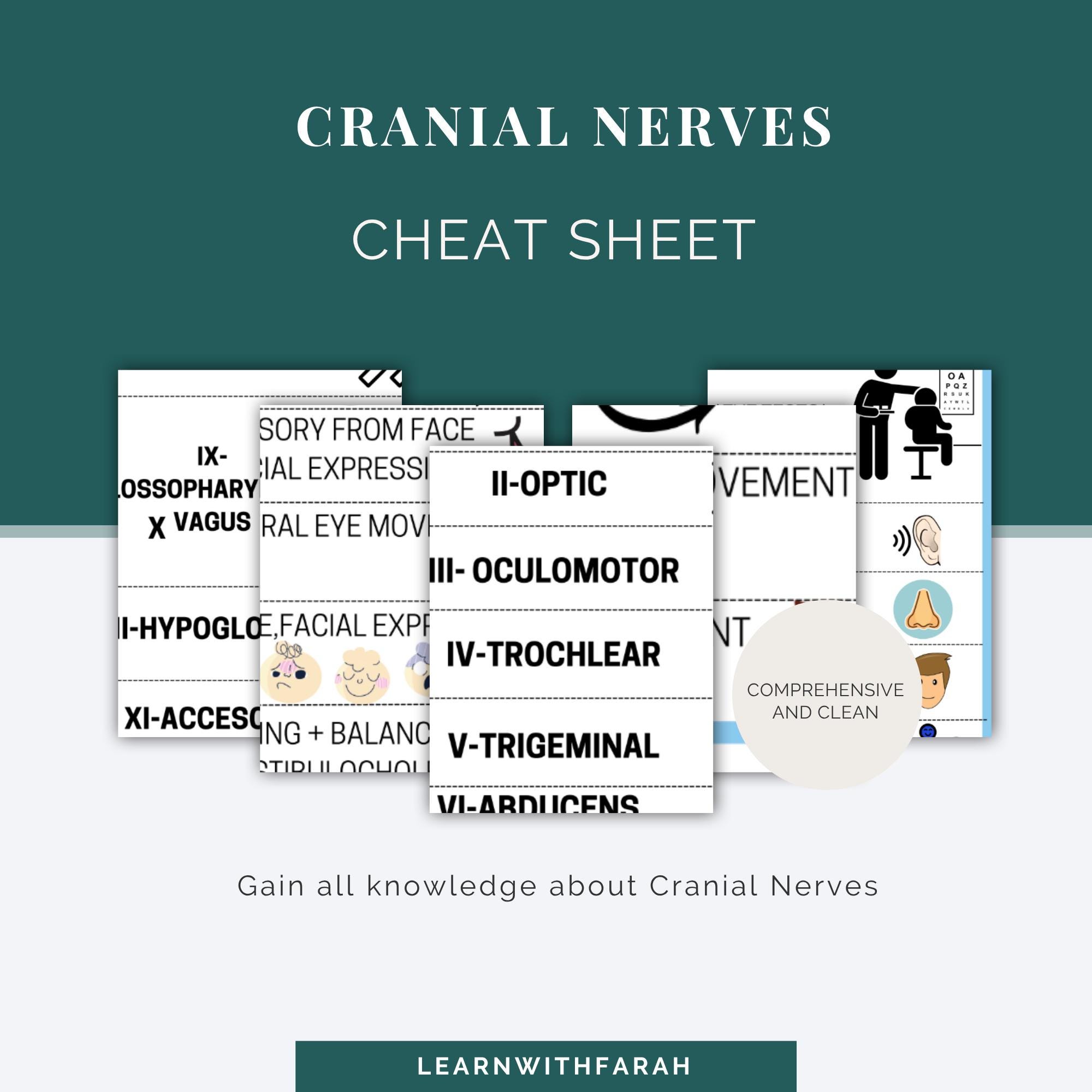 Cranial Nerves Cheat Sheet | Lesson | Instant PDF Printable Guide | Med ...
