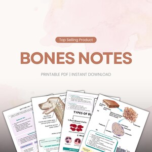 May include: A collection of educational study sheets titled BONES NOTES, featuring anatomical diagrams of bones, blood cells, and lymph nodes with descriptive text labels. The printable PDF documents include detailed illustrations of biological structures.