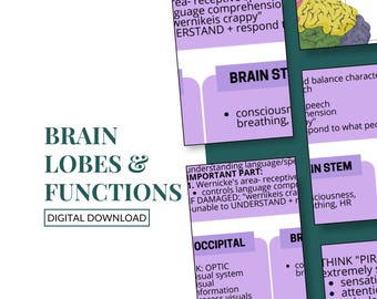 Brain Lobes & Functions Study Notes | Medical School | Nurse | Doctor | Physician | Medtech | NCLEX | Nursing Exams | Parts of Brain