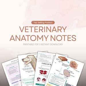 May include: A set of veterinary anatomy notes with diagrams and text. The title "VETERINARY ANATOMY NOTES" is displayed. The notes cover topics such as epithelial tissue, blood cells, and bone structure. The phrase "PRINTABLE PDF | INSTANT DOWNLOAD" is also visible.