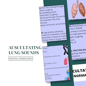 May include: A digital download graphic titled "AUSCULTATING LUNG SOUNDS." The image displays cards with medical information about lung sounds. Illustrations of lungs and text descriptions of different sounds are included.