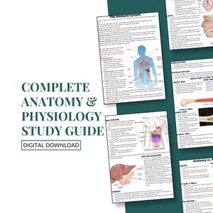 May include: A collection of printed anatomy and physiology study guides, featuring diagrams of the human body. The title "COMPLETE ANATOMY & PHYSIOLOGY STUDY GUIDE" is in teal. The guides cover topics like the immune system, small intestine, and liver. The words "DIGITAL DOWNLOAD" are also visible.