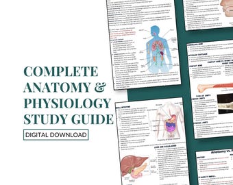 Appunti di studio di anatomia e fisiologia / I migliori appunti di anatomia / 82 pagine / Impara tutto sull'anatomia / Download digitale A&P / Appunti PDF